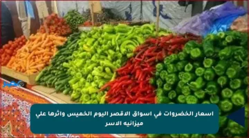 أسعار الخضروات في أسواق الأقصر اليوم الخميس وأثرها على ميزانية الأسر
